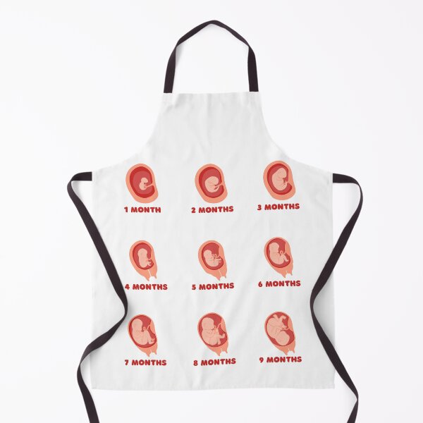 Item preview, Embryo foetus development sticker set for journal and calendar designed and sold by Lady-Frost.