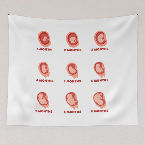 Item preview, Embryo foetus development sticker set for journal and calendar designed and sold by Lady-Frost.