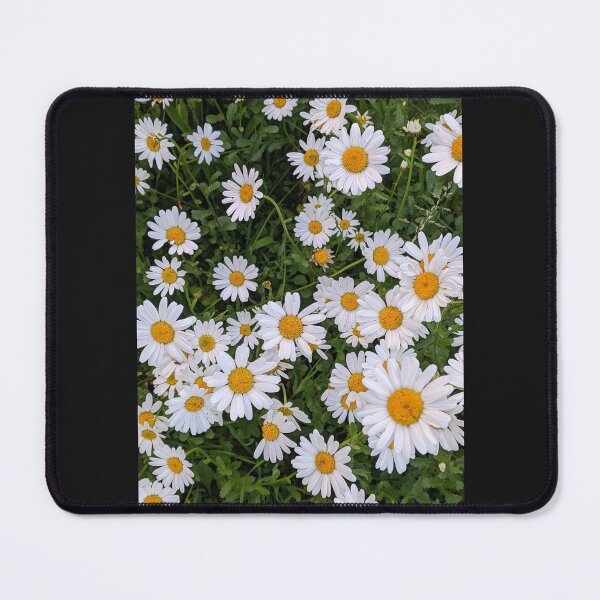 Item preview, Oxeye daisies, hello sunshine! designed and sold by WibbleSH.