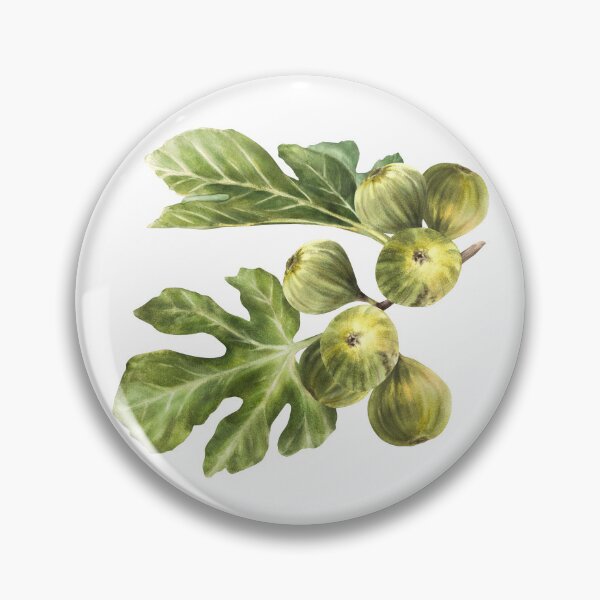 Item preview, Ripe green purple fig fruit and leaves sticker hand-drawn watercolor illustrations  designed and sold by BartolArt.