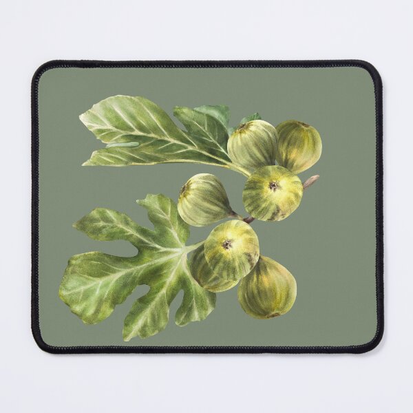 Item preview, Ripe green purple fig fruit and leaves sticker hand-drawn watercolor illustrations  designed and sold by BartolArt.