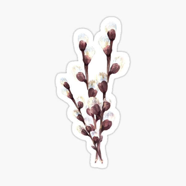 Item preview, Watercolor bouquet of pussy willow tree. Hand drawn Easter sticker designed and sold by BartolArt.