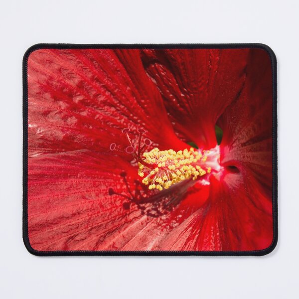 Item preview, Scarlet Bloomcore - Exotic Hibiscus Flower in Hot Red designed and sold by Georgia Mizuleva.