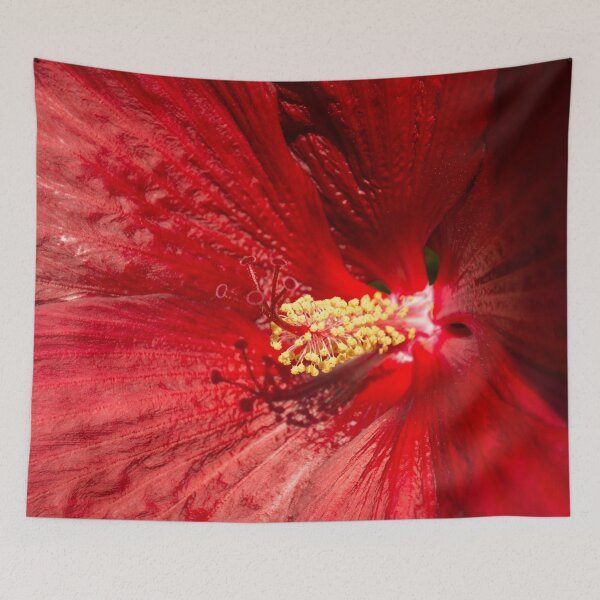 Item preview, Scarlet Bloomcore - Exotic Hibiscus Flower in Hot Red designed and sold by Georgia Mizuleva.