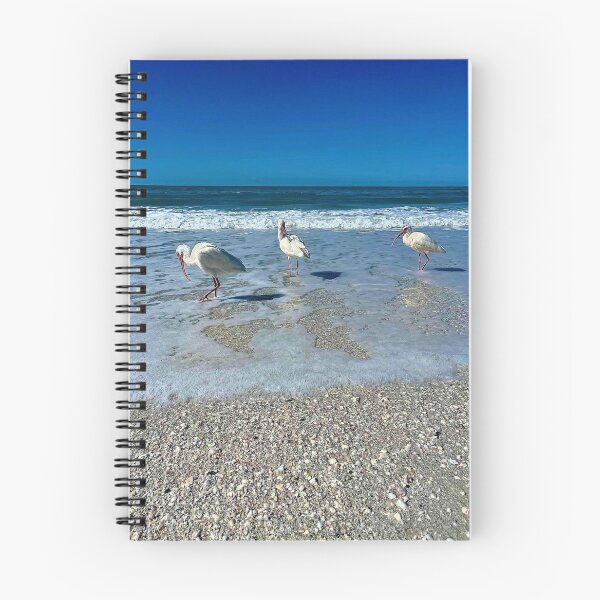Item preview, Birds on the beach designed and sold by Mandypoolicious.