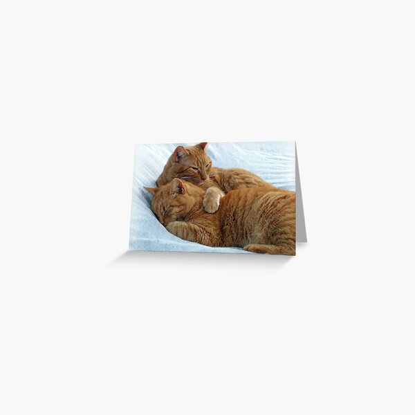 Brotherly Love Greeting Card