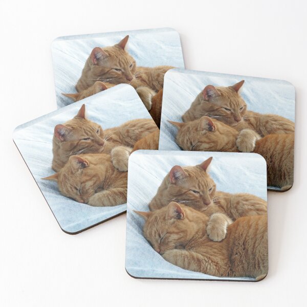 Item preview, Brotherly Love designed and sold by Frankie Cat Photography.
