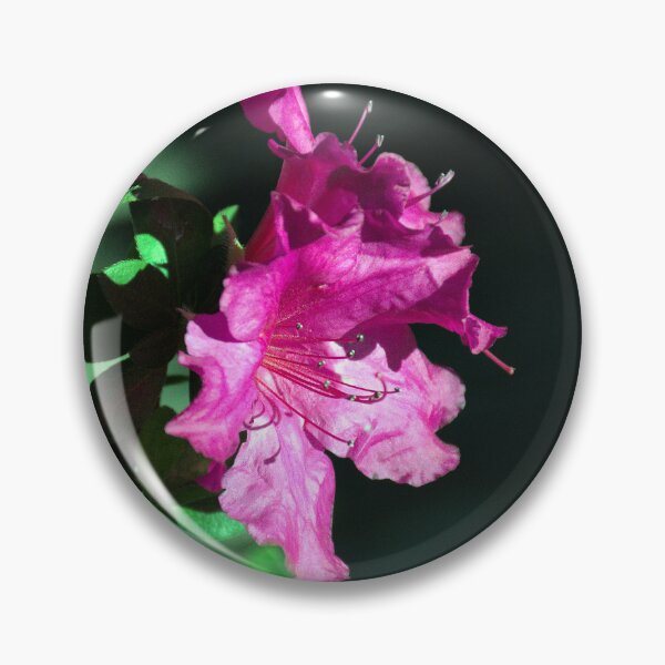 Item preview, Azalea Flowers designed and sold by MercerImages.