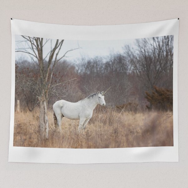 Item preview, Unicorn - Do You Believe? designed and sold by James Cumming.
