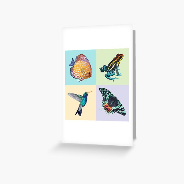 Colibri Frog Fishie Moth Animal Illustrations Greeting Card