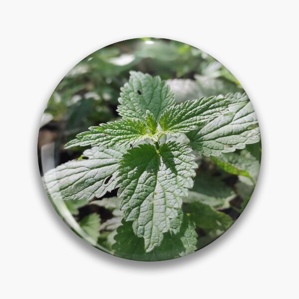 Item preview, nettle designed and sold by Gourmetkater.