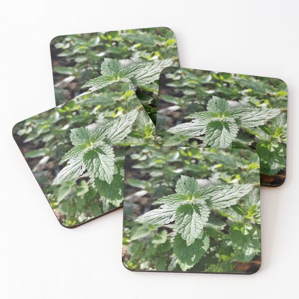 Item preview, nettle designed and sold by Gourmetkater.