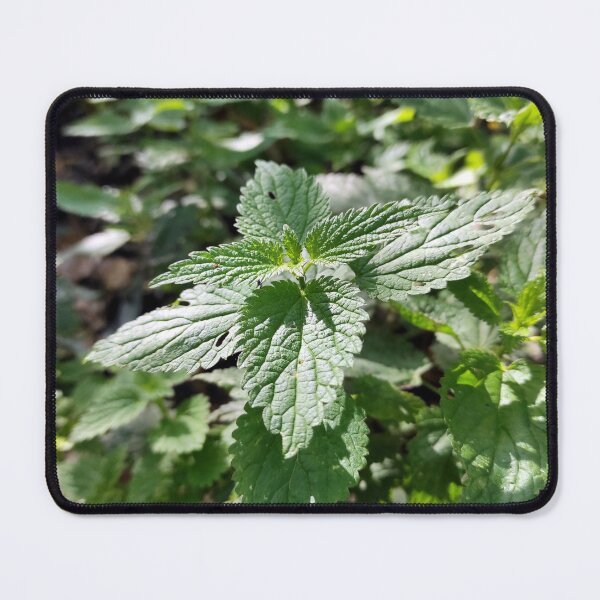 Item preview, nettle designed and sold by Gourmetkater.