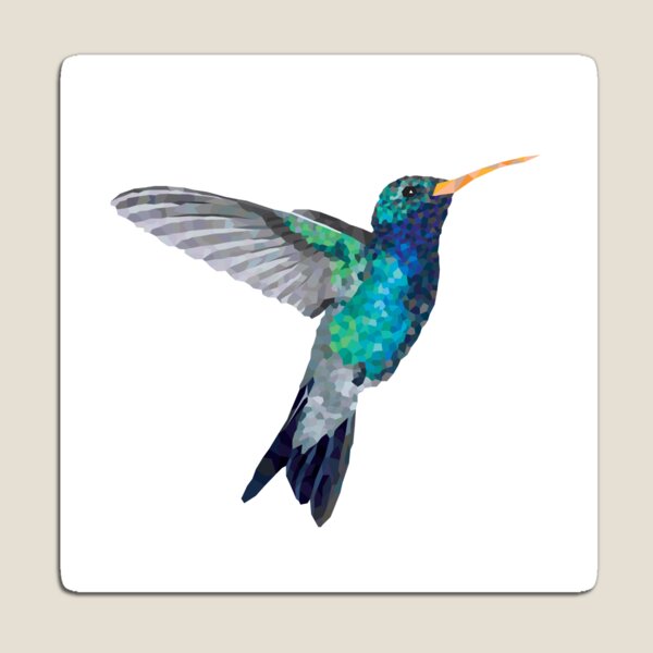 Colibri (Hummingbird) Geometric Animal Illustration Magnet