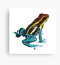 Geometrische Illustration des Frosches Leinwanddruck