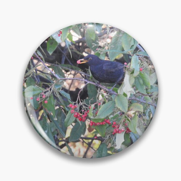 Artikelvorschau, Amsel mit roter Beere im Schnabel entworfen und verkauft von TwistedClassics.