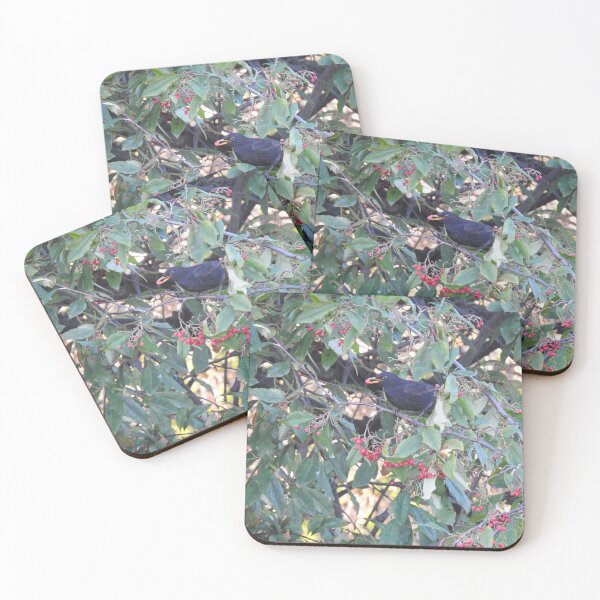 Artikelvorschau, Amsel mit roter Beere im Schnabel entworfen und verkauft von TwistedClassics.