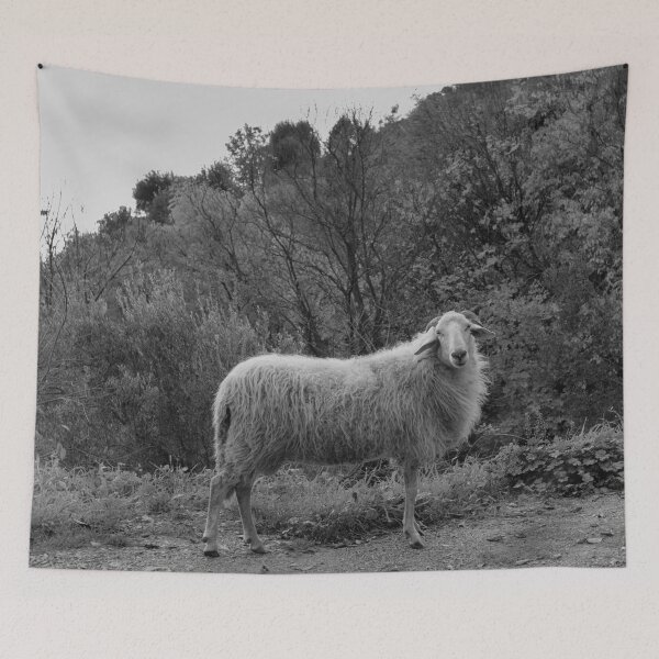 Item preview, 2009 Giovane montone designed and sold by robertoferrero.
