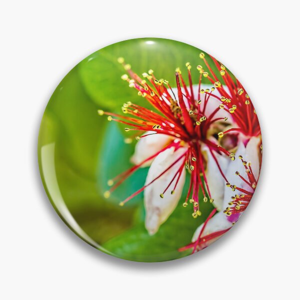 Item preview, Pineapple Guava designed and sold by Kay Brewer.