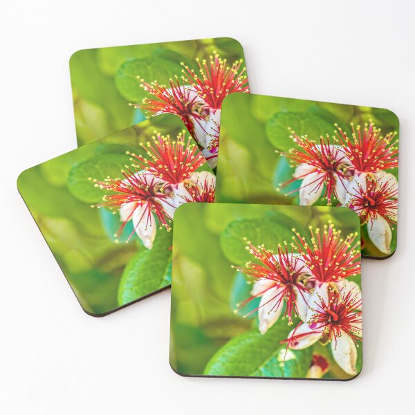 Item preview, Pineapple Guava designed and sold by Kay Brewer.