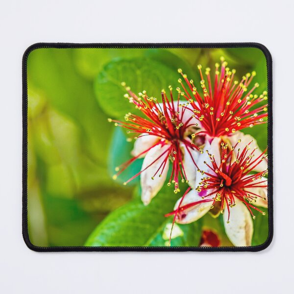 Item preview, Pineapple Guava designed and sold by Kay Brewer.