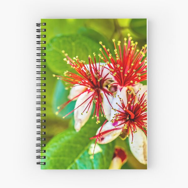 Item preview, Pineapple Guava designed and sold by Kay Brewer.