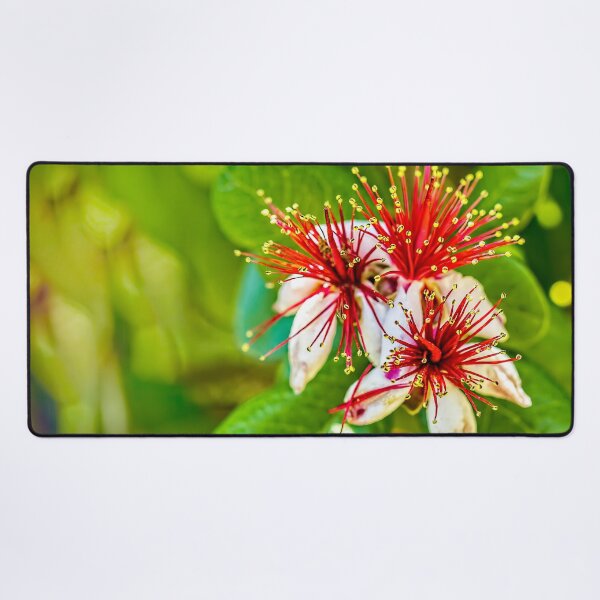 Item preview, Pineapple Guava designed and sold by Kay Brewer.