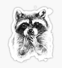 Surprised raccoon Sticker