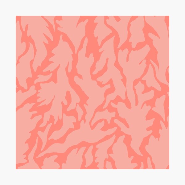 Seaweed // Pink Photographic Print