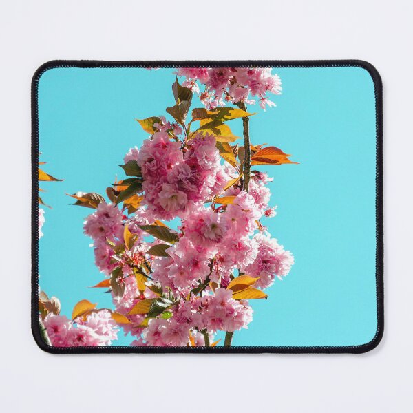 Item preview, cherry trees in bloom 01 designed and sold by graziegranata.