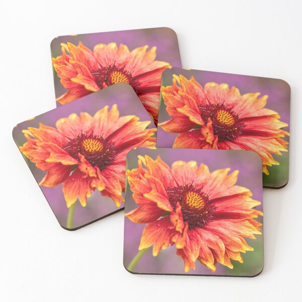 Item preview, Beautiful Gaillardia Blanket Flower designed and sold by ADCImages.