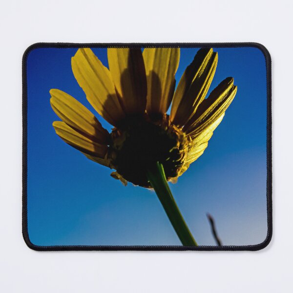 Item preview, The Radiant Bloom Of A Daisy designed and sold by ngphotoart.