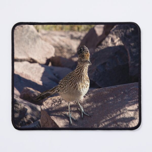 Item preview, Road Runner designed and sold by Desertastro.