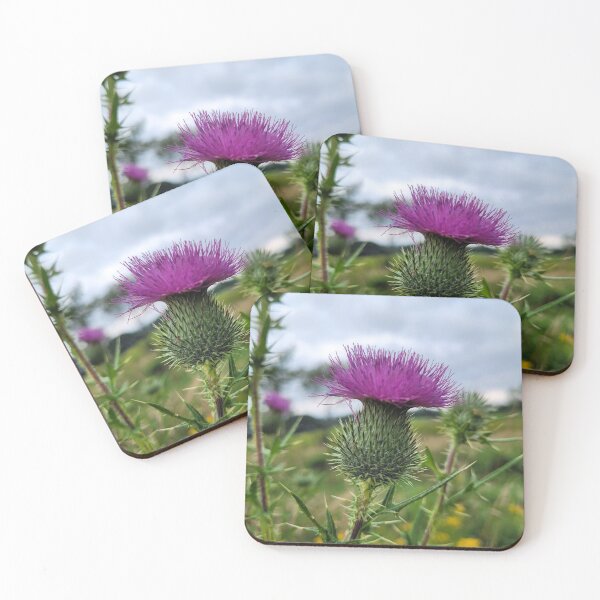 Item preview, A Pink Thistle Blossom designed and sold by MtnAshMan.