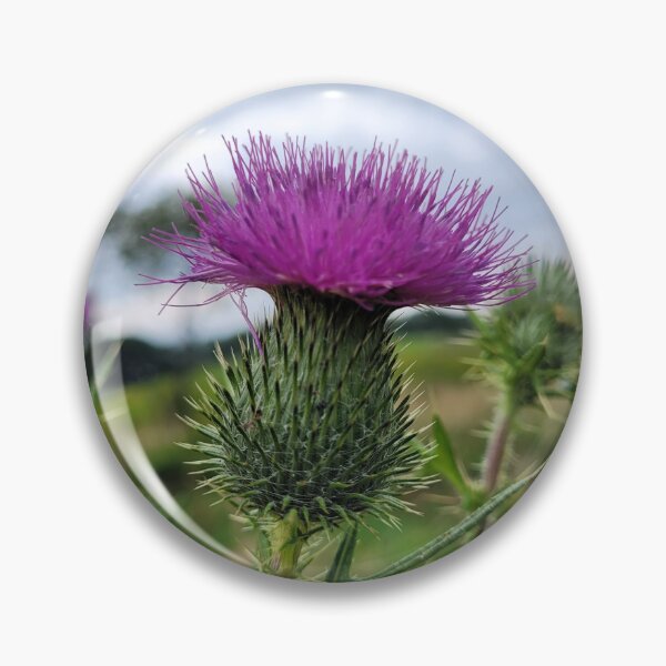 Item preview, A Pink Thistle Blossom designed and sold by MtnAshMan.