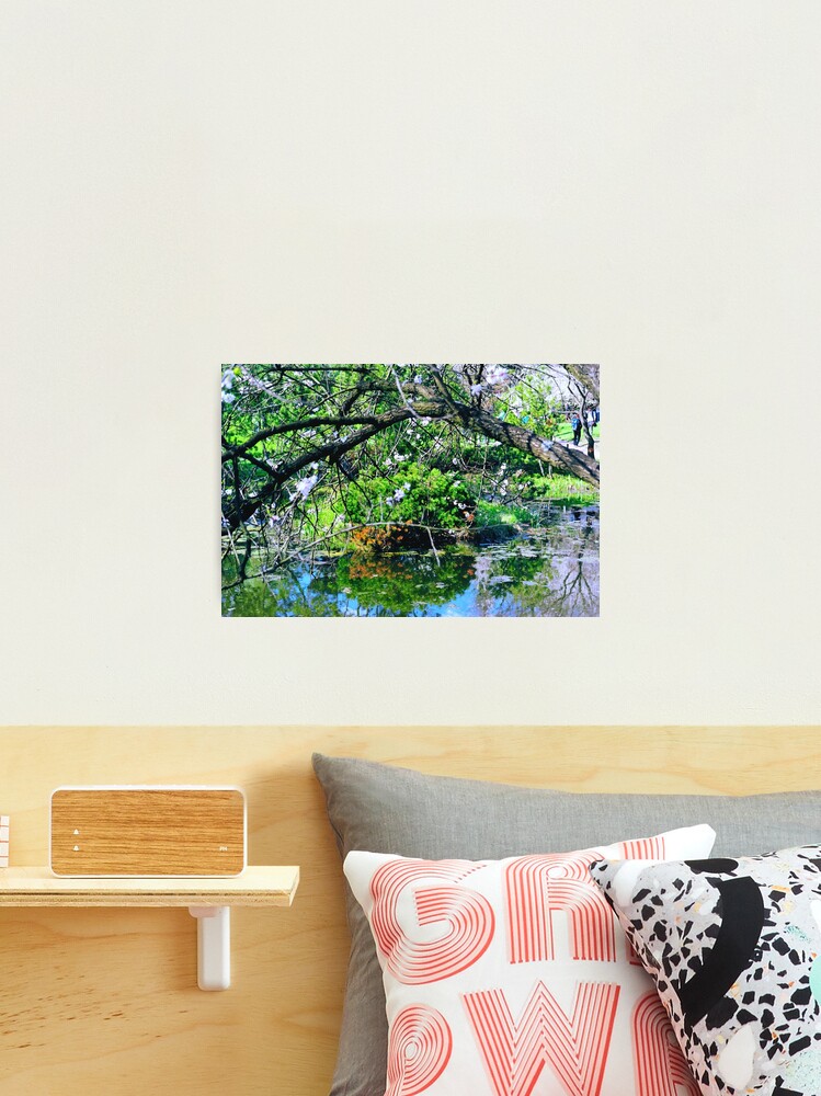 Thumbnail 2 of 3, Photographic Print, May in a Japanese Garden designed and sold by Mallorn.