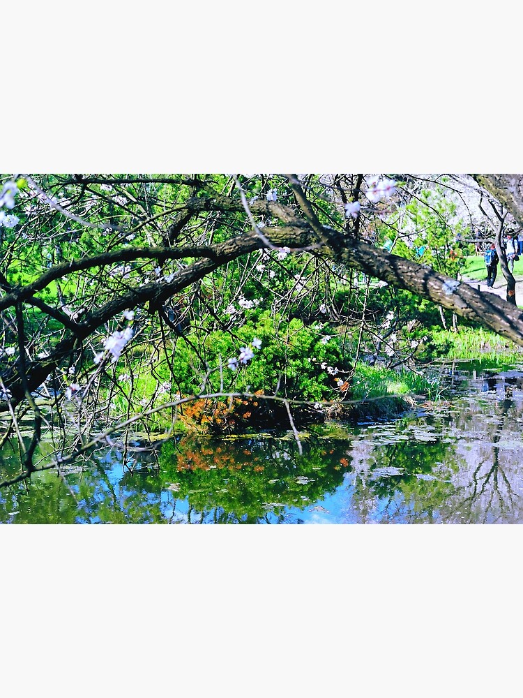 Thumbnail 3 of 3, Photographic Print, May in a Japanese Garden designed and sold by Mallorn.