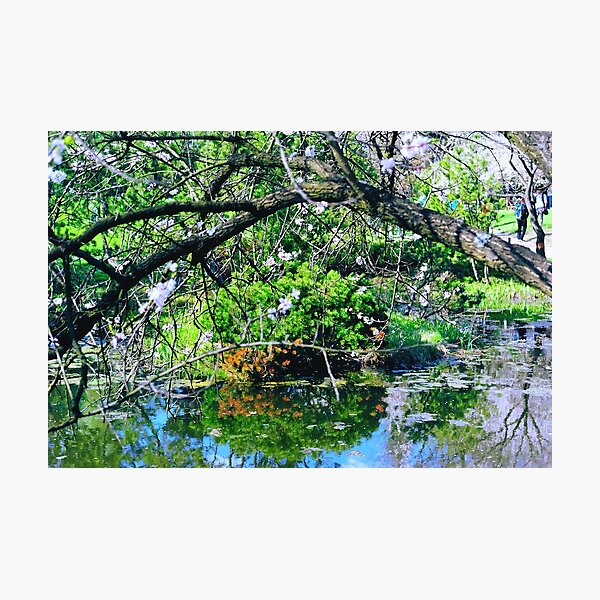 Photographic Print