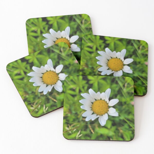 Item preview, An Oxeye Daisy in the Meadow designed and sold by MtnAshMan.