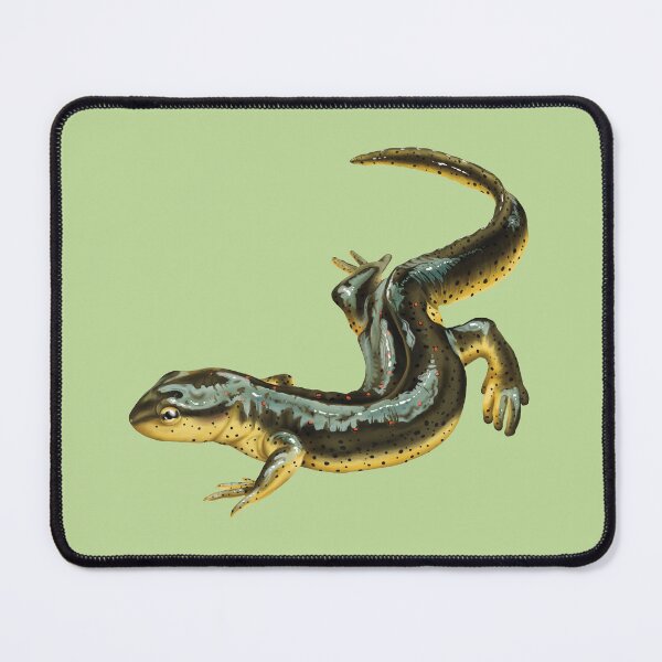 Item preview, Eastern Newt Salamander  designed and sold by Nick Garnhart.