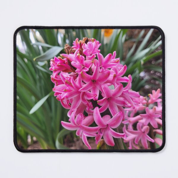 Item preview, An Eruption of Lush Pink Flowers designed and sold by MtnAshMan.