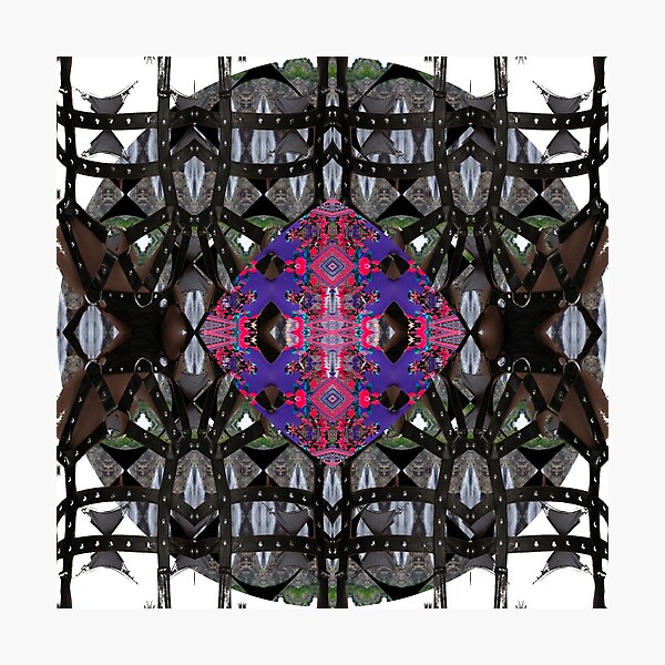 Pattern, tracery, weave, template, unorthodox, refined, exquisite, elegant Photographic Print