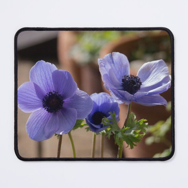 Item preview, Anemone Flowers. designed and sold by GingerMan2550.