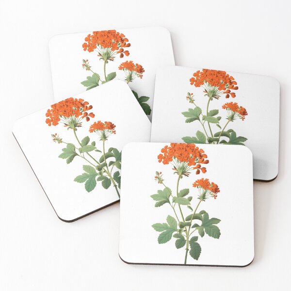 Item preview, Begonia Flower designed and sold by KookyStudioArt.