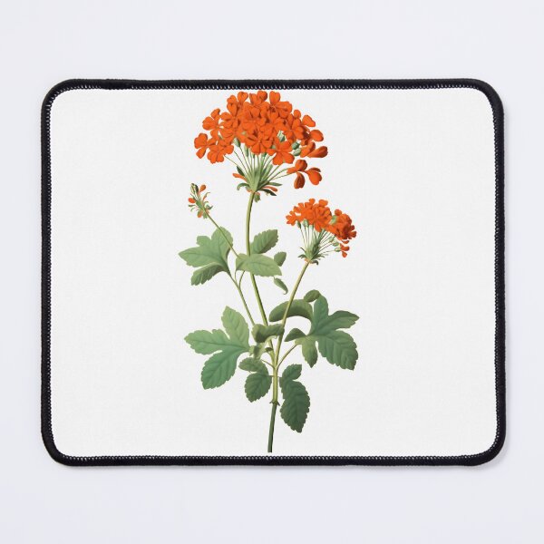 Item preview, Begonia Flower designed and sold by KookyStudioArt.