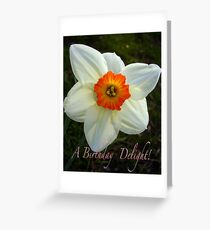 White Daffodil Greeting Card