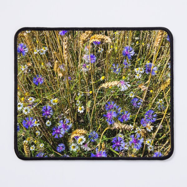 Item preview, Cornflowers, marguerites and wheat in a field on a Baltic island designed and sold by Michael Brewer.