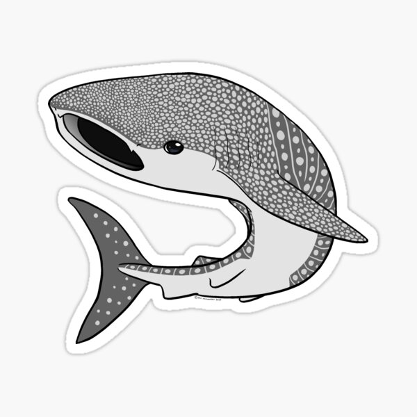 Weird and Wonderful World - Whale Shark Sticker