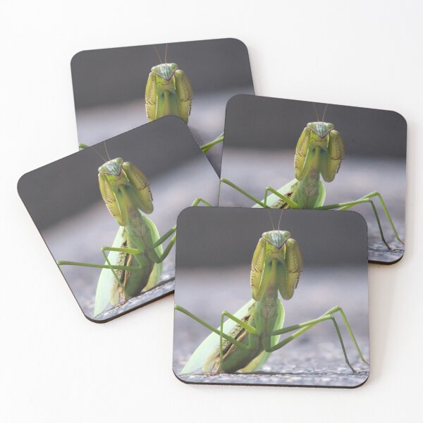 Item preview, Praying Mantis designed and sold by TrueheartPhoto.