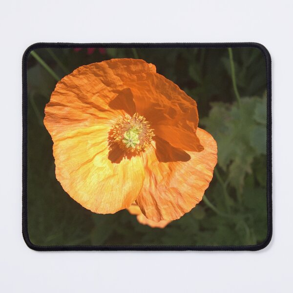 Item preview, Welsh Poppy designed and sold by Debbee75.